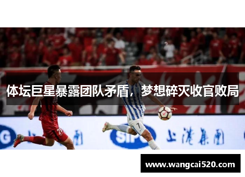 体坛巨星暴露团队矛盾，梦想碎灭收官败局