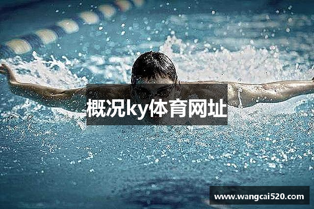 概况ky体育网址